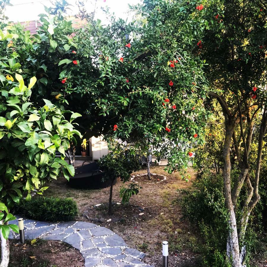 בודרום Villa No 5 מראה חיצוני תמונה